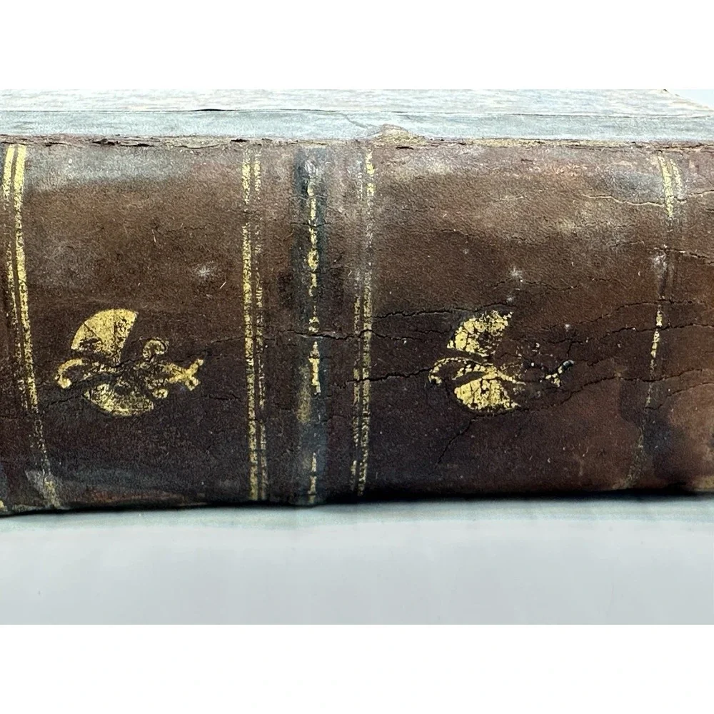 Antique The Mill on the Floss George Eliot Belford Clarke & Co Chicago & NY 1885